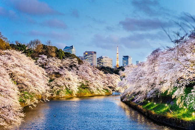 Tokyo Private Full-Day Landmark Tour, by Car, Custom Itinerary (Mar ) - Tour Pricing and Booking Details