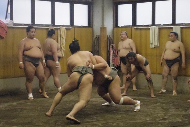 Tokyo Sumo Morning Practice Tour at Stable - Tour Details