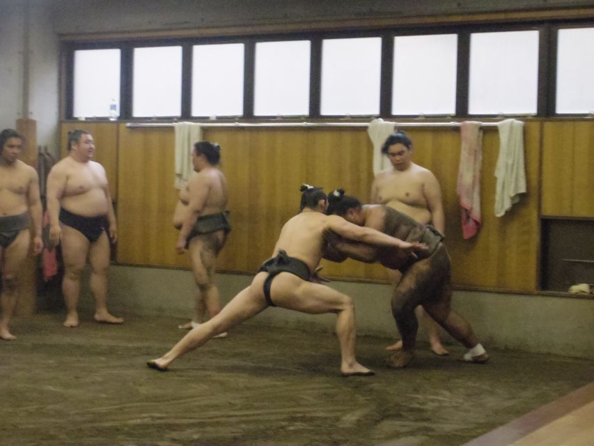 Tokyo: Sumo Morning Practice Viewing Tour - Activity Information
