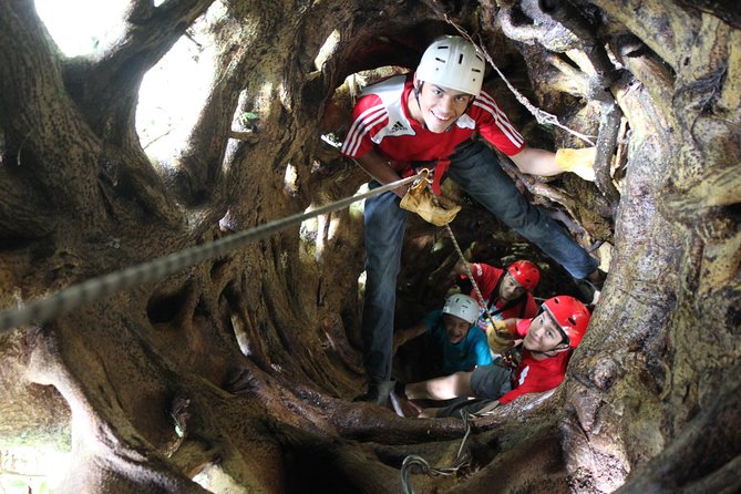 Tree Top Climbing Monteverde - Tour Highlights