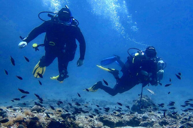 Try Scuba Diving in Split