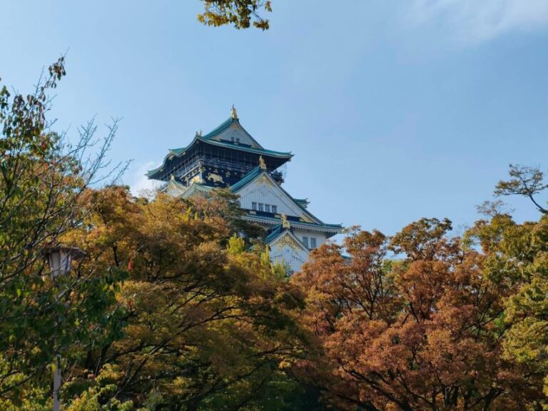 Ultimate Osaka Walking Tour (Castle, Shinsekai, Dotonbori)
