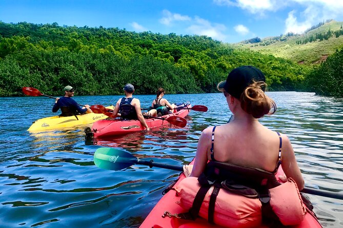 Wailua River and Secret Falls Kayak and Hiking Tour on Kauai - Tour Overview