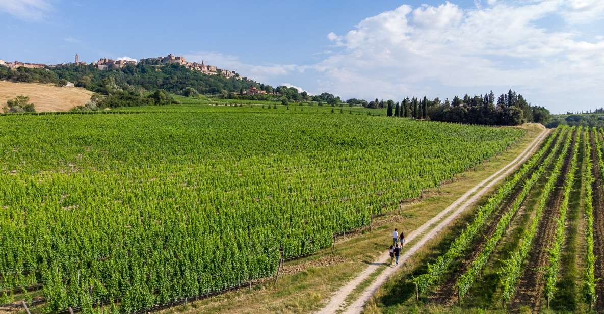 Wine Lovers Experience in Montepulciano: Half Day - Booking Details