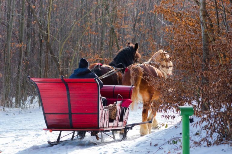 Zakopane: Horse-Drawn Rides With Local Guide & Food Tasting