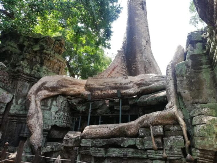 2-Day Angkor Complex; Beng Mealea & Kompong Phluk Village