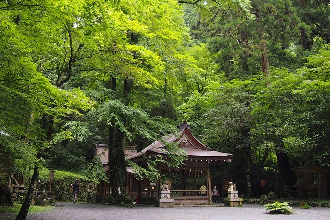 1 Day Hiking Tour in the Mountains of Kyoto - What to Bring