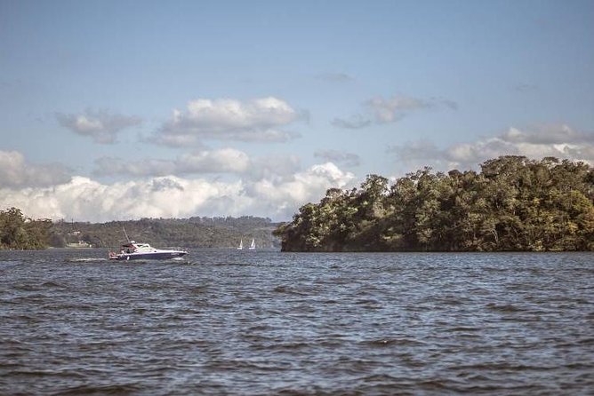 2-Hour Boat and Stand Up Paddle Board Adventure in São Paulo, Brazil - Bird Watching Opportunities