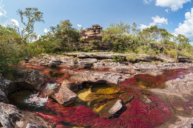 4-Day Trip to Caño Cristales (the River of Many Colors) and the Jungle (Mar ) - Serrania De La Macarena National Park