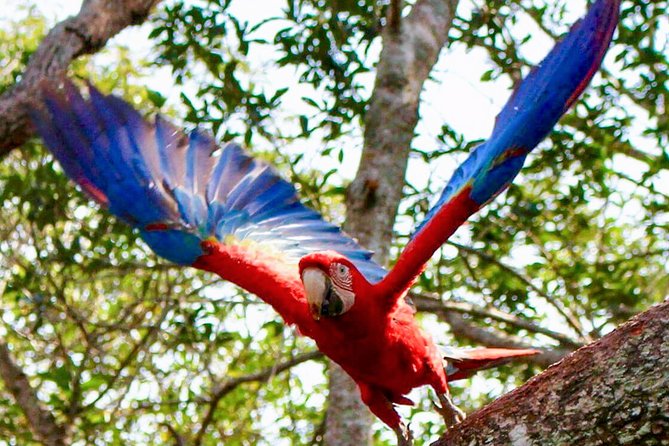 4-Day Wildlife Camping Tour to Pacaya-Samiria National Park From Iquitos, Peru - Itinerary