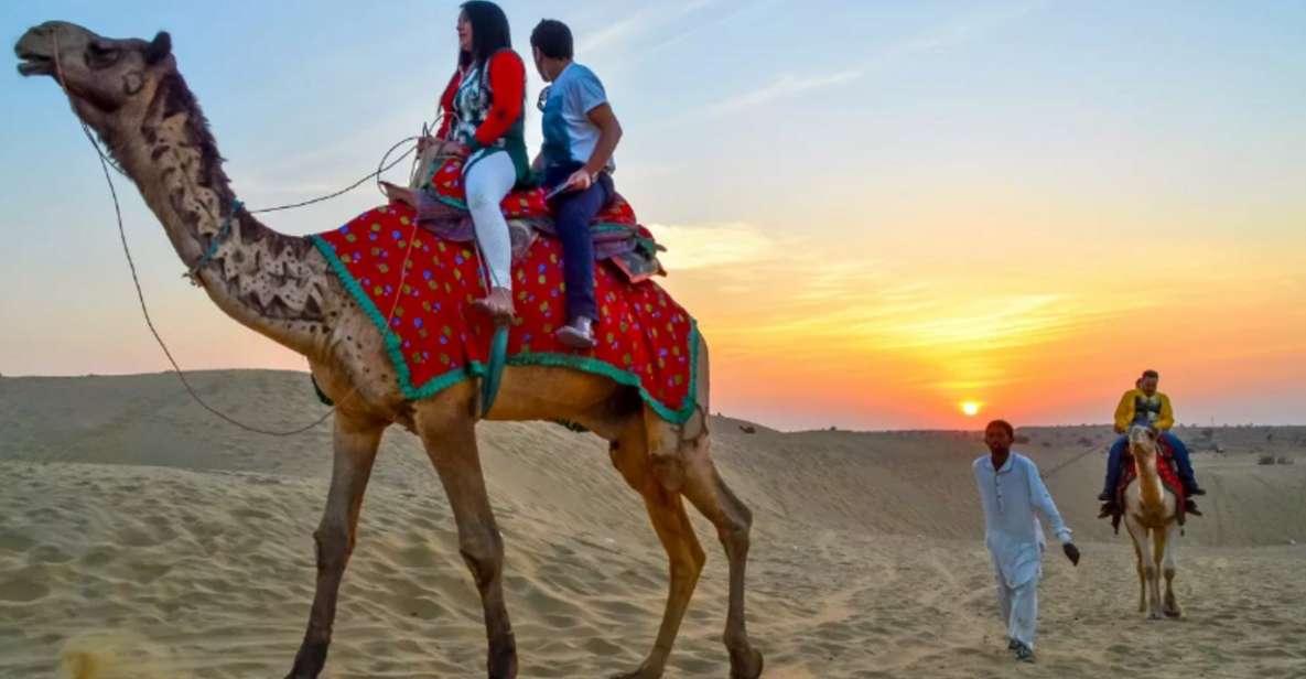 8 Days Rajasthan Tour - Jaipur, Jodhpur, Jaisalmer & Bikaner - Duration and Availability