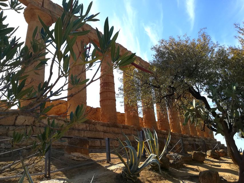 Agrigento: Valley of the Temples Private Tour - Tour Experience