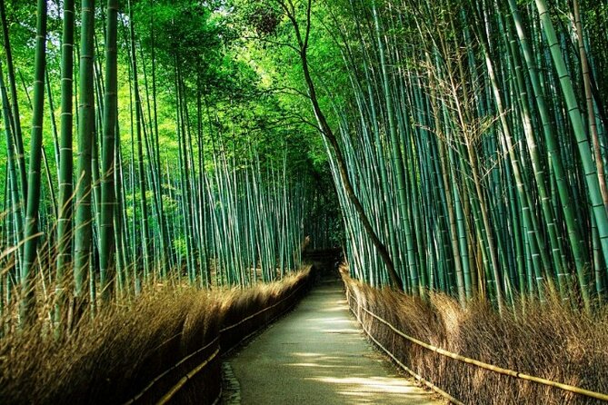 Arashiyama & Yasaka Shrine & Nara & Todaiji Day Trip From Osaka - Arashiyama Bamboo Grove