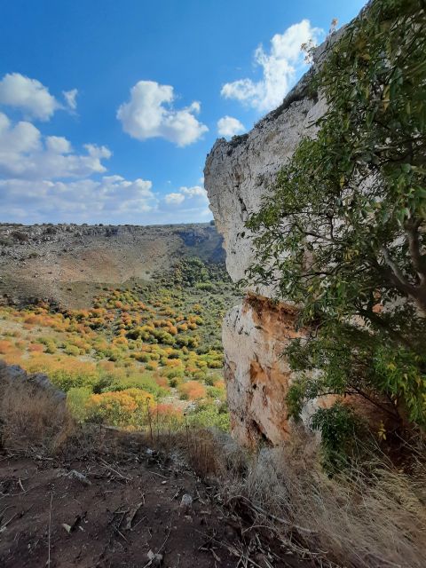 Bike Tour: Olive Oil Tasting & Dune Costiere Park Picnic - Instructor Information