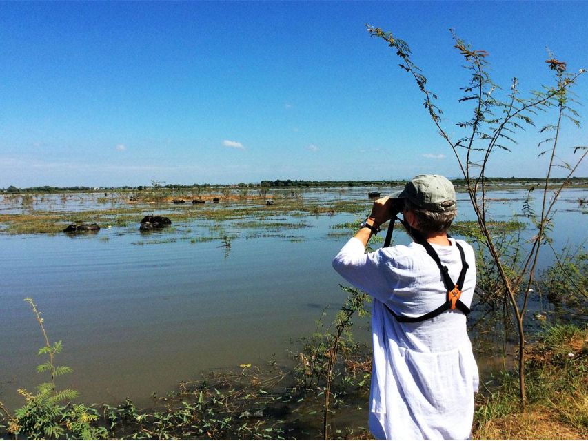 Boeng Peariang Bird Sanctuary in Siem Reap - Booking Details and Costs