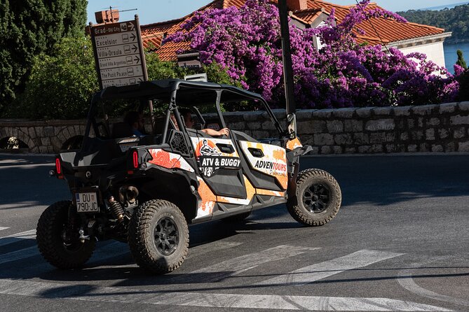 Buggy Dubrovnik Panorama Tour - Booking Information