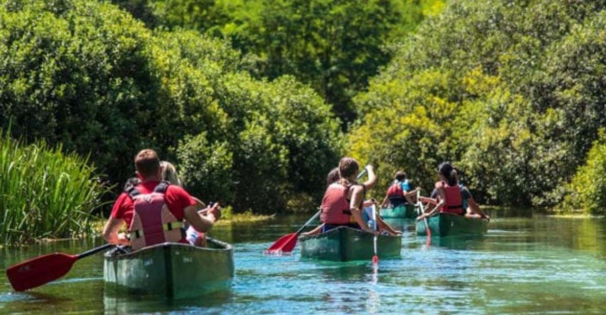 Canoe Ride on Piediluco Lake With Lunch - Experience Highlights