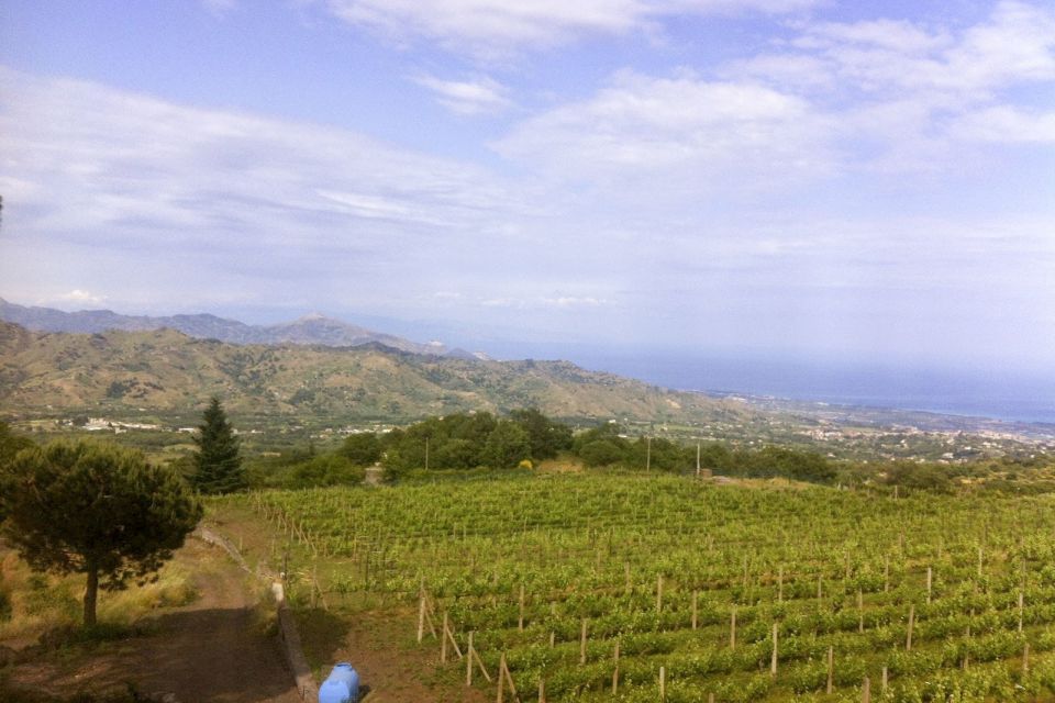 Catania: Mt. Etna Private Tour With Food and Wine Tasting - Experience Highlights