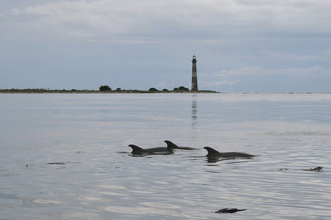 Charleston Marsh Eco Boat Cruise With Stop at Morris Island Lighthouse - Meeting Information