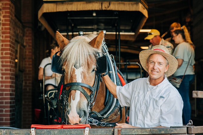 Charleston's Old South Carriage Historic Horse & Carriage Tour - Cancellation Policy