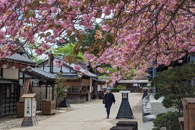 Chartered Private Tour - Tokyo to Nikko, Toshogu, Edo Wonderland - Cancellation Policy Details