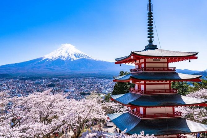Cherry Blossom ! Five-Story Pagoda,Mt. Fuji 5th Station,Panoramic Ropeway - Meeting and Pickup Details