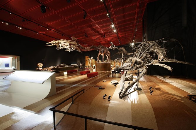 Coal & Fossil Museum Admission Ticket - Ticket Prices and Guarantees