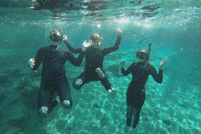 Crystal River Manatee Small-Group Snorkeling Experience - Additional Information