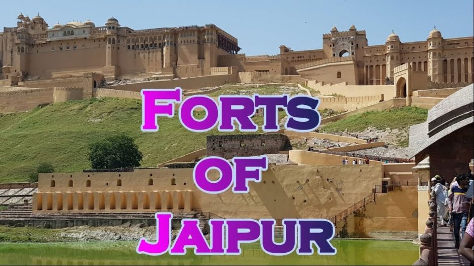 Delhi: 6-Day Taj Mahal & Palaces of Rajasthan Private Tour - Inclusions