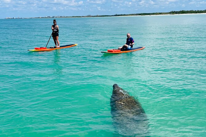 Dolphin and Manatee Adventure Tour of Fort Myers - Beach Exploration