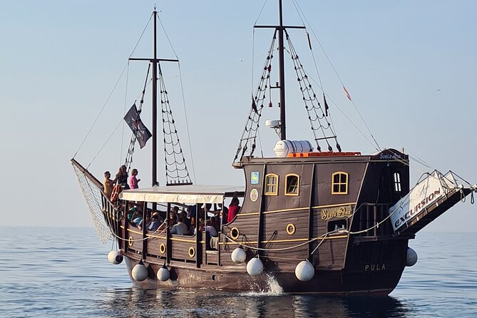 Dolphin Watching Boat Trip Around Vrsar - Dolphin Spotting in the Vrsar Archipelago