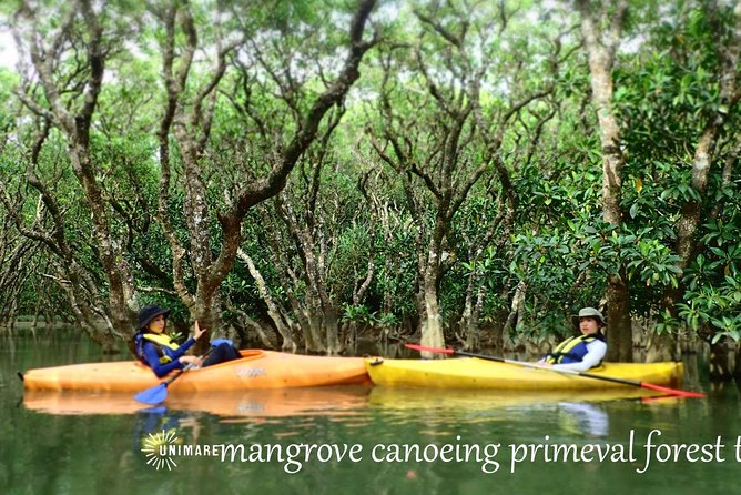 Enjoy a Private Mangrove Canoe in Amami – a Special Journey in Nature - Booking and Confirmation Details Provided