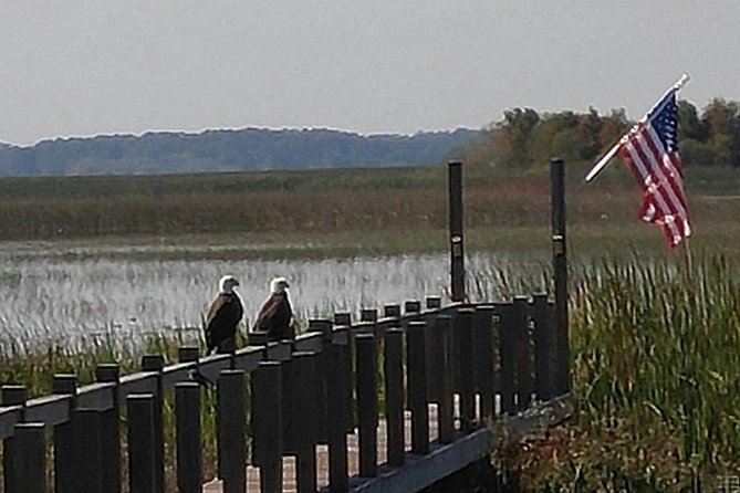 Everglades Airboat Tour Near Orlando Florida - Cancellation Policy Details