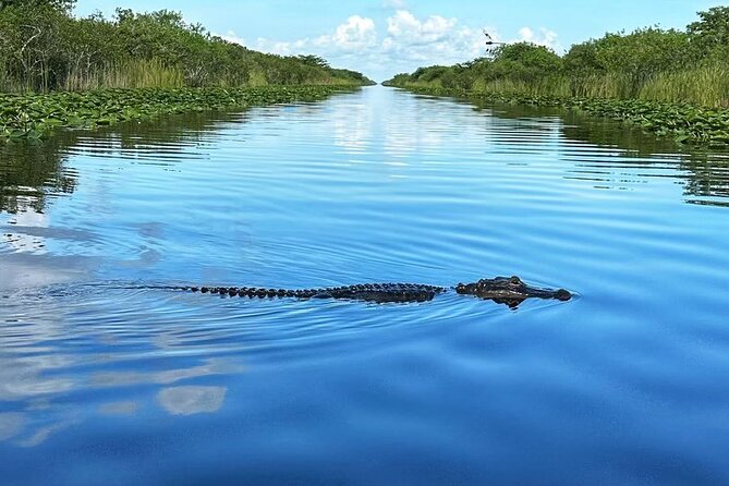 Everglades Tour From Miami With Transportation - Small-Group Adventure Details