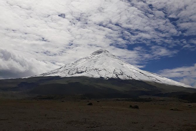 Excursion to Cotopaxi National Park and Limpiopungo Lagoon (Mar ) - Wildlife Spotting Opportunities