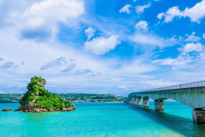 Explore Okinawa With Private Lexus Car Hire With Simple English Driver - Policies