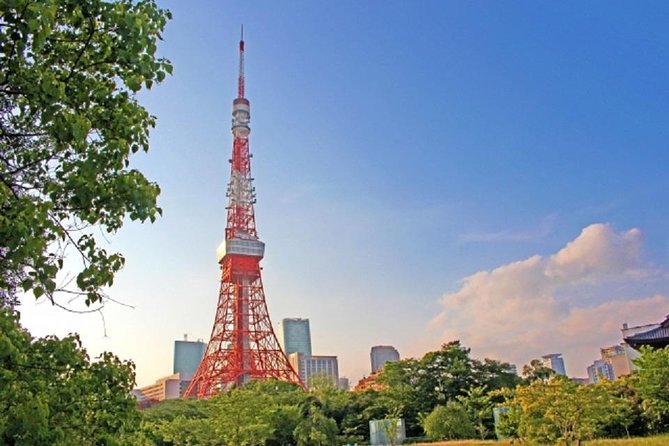 Freely Set up Plans Guided Private Tours in Tokyo - Tailored Tour Experience