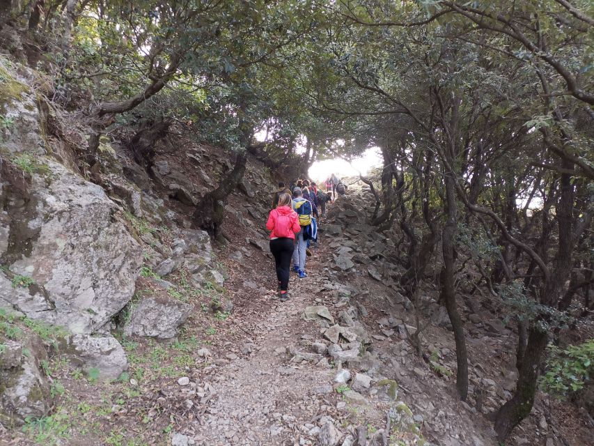 From Bova: Private Trek to Aspromonte National Park - Tour Experience