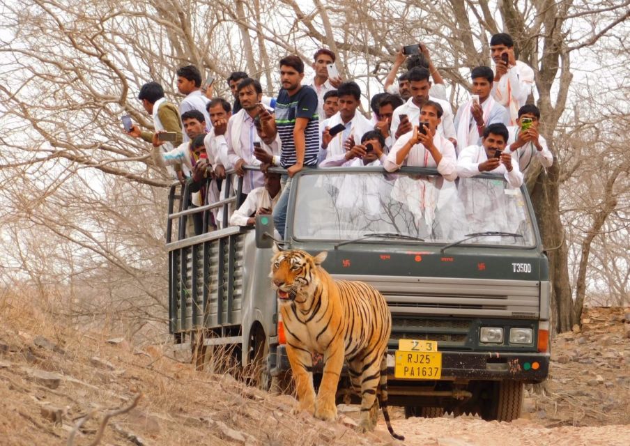 From Delhi: 3-Day Jim Corbett National Park Private Safari - Wildlife Spotting Opportunities