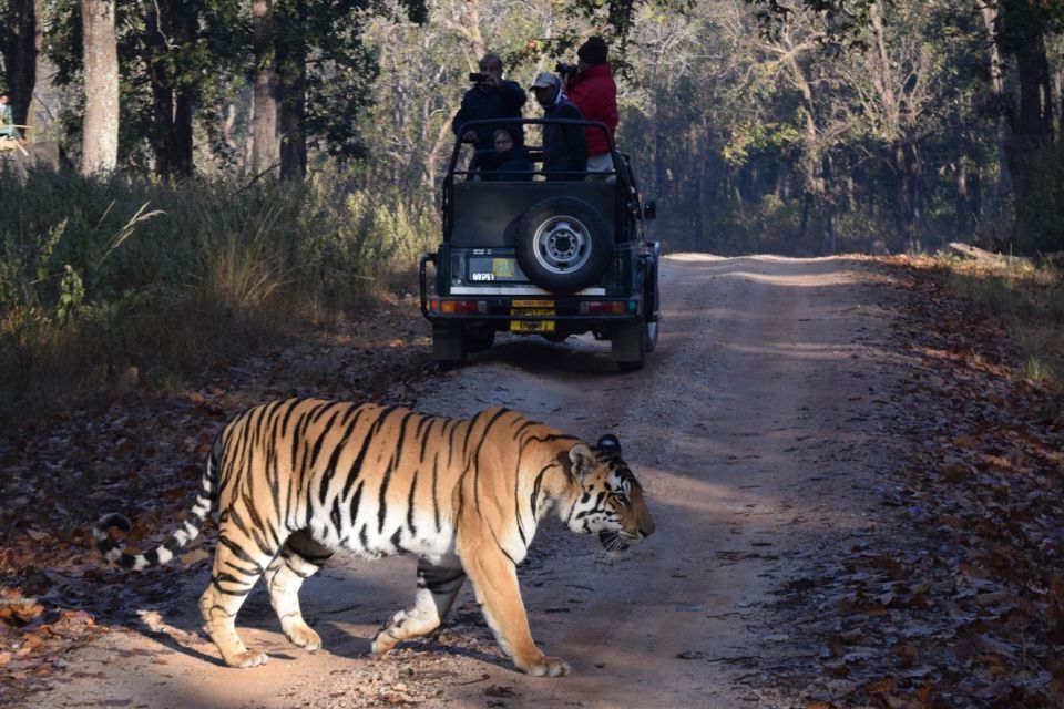 From Delhi: 5-Day Golden Triangle & Ranthambore Safari Tour - Guided Experience