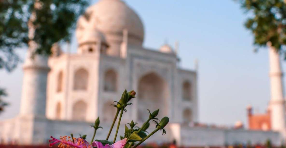 From Delhi: 5-Day Private Golden Triangle Tour Hotels - Hotel Amenities and Services Provided