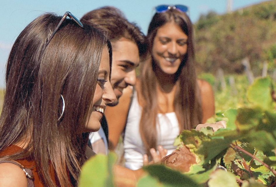 From Florence: Cinque Terre Small Group Tour With Lunch - Tour Experience