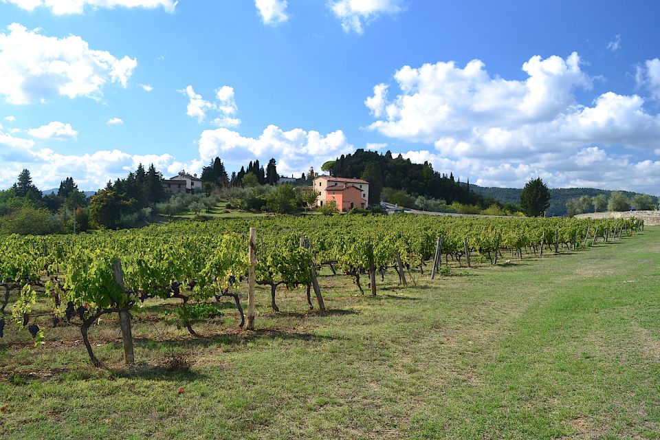 From Florence: Wine Tasting Tour at Historical Winery - Booking Details