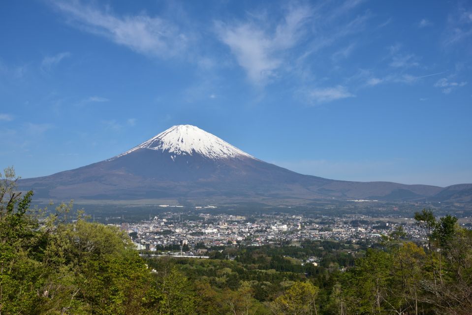 From Tokyo: 1 Day (SIC) Mount Fuji Gotemba Premium Outlet - Shopping Experience
