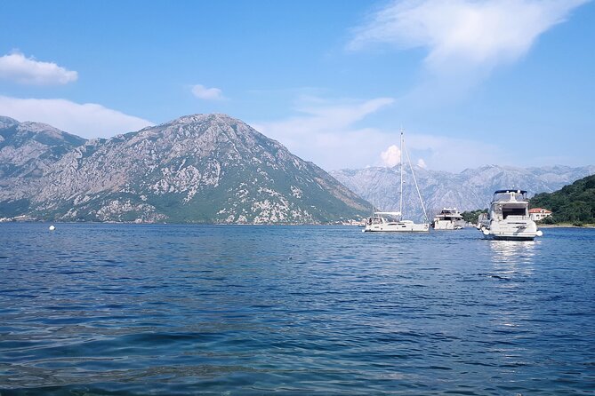 Full-Day Group Tour of Montenegro Coast From Dubrovnik - Pricing and Duration