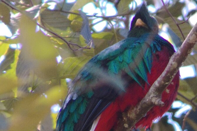 Full Day Hiking and Bird Watching at Savegre River San Gerardo Near to San Jose - Hiking Trails Overview