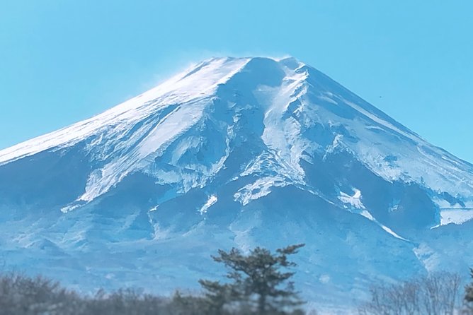 Full Day Private Fuji Tour With English Driver & Muslim Friendly - Pricing and Booking Information