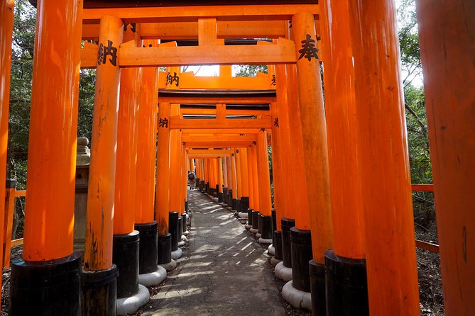 Fushimi Inari Hidden Hiking Tour - Meeting Point and Logistics