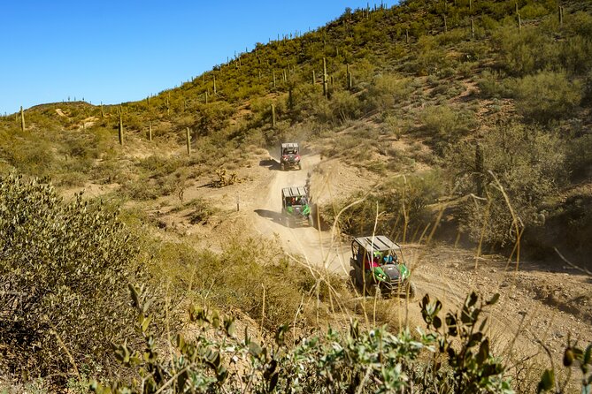 Guided Arizona Desert Tour by UTV - Tour Vehicle and Group Size