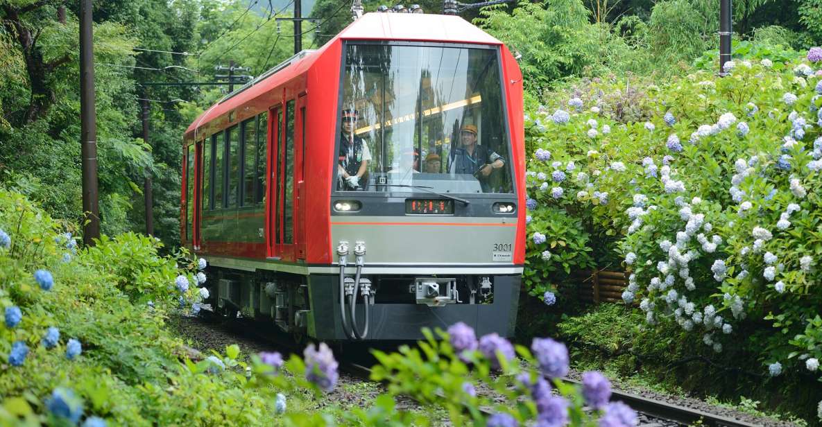 Hakone: Train Pass With Unlimited Rides & Activity Discounts - Experience Highlights